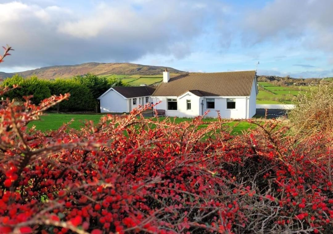 Cathleen'S Cottage Newry Exterior foto